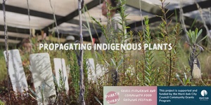 Propagating Indigenous Plants | FRI 15 NOV | 10am-12pm | Newlands