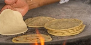August 15- Tortilla-making & Tacos de nopales(cactus!)