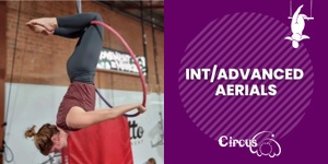 Intermediate/Advanced Aerials 6 Weeks CONCESSION - Fridays 6:30pm - 8:30pm