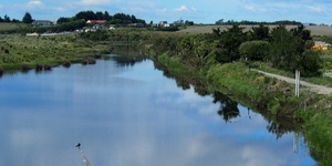 Guided riverside and wetlands walk