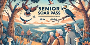 🕊️ Senior Soar Pass