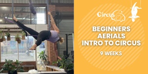 Beginners Aerials/Intro to Circus 9 Weeks - Mondays 6:30pm - 8:30pm