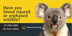 Australian Native Animals Rescue and Rehabilitation Association 