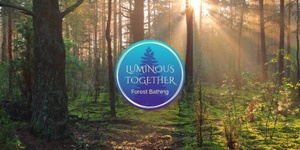 Forest Bathing Walk Online