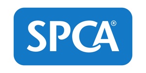 SPCA