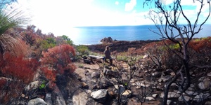 Friends of Meelup  Cape Naturaliste Conservation Enterprise