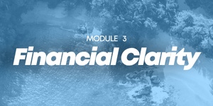 Module 3 - Conscious Transactions™️  - Financial Clarity  - 2 Sessions