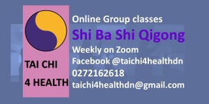 Online Qigong - 1 person