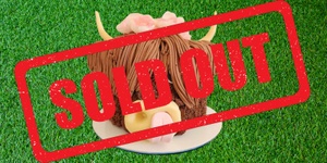 Thursday 11 July | 9.00am-3.30pm | CULINARY KIDS - HIGHLAND COW CAKE DECORATING