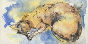 10th July at the Paintbox 10am - 12pm: Ink & watercolours using feather quills - Dogs and Cats 