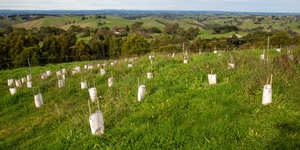 South Gippsland Landcare Network 