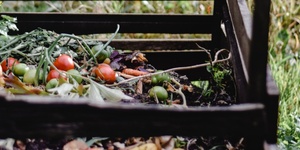 February 13 – Composting