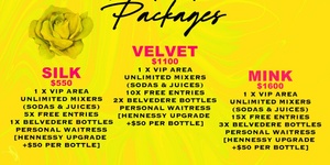 SILK VIP PACKAGE $550 (DEPOSIT)