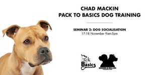Socialisation Seminar (17-18 November 2024)
