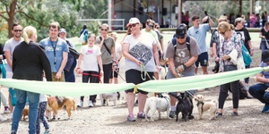 Walk for Wellbeing