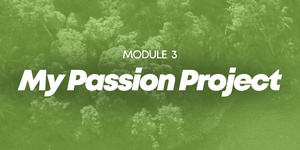 Module 3 - The Changemaker Way™️ - My Passion Project - 5 Sessions 