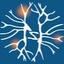 Applied Neuroscience Society of Australasia's logo