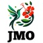 Jamaica Minnesota Organization (JMO)'s logo