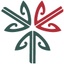 Community Networks Aotearoa's logo