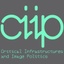 Critical Infrastructures and Image Politics's logo