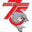 The Dolphins 's logo