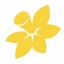 Cancer Council Queensland, Redlands Volunteer Branch's logo