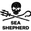 Sea Shepherd Sydney's logo