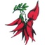 Friends of the Dunedin Botanic Garden's logo