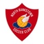 North Bankstown (soccer) Football club's logo