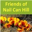 Friends of Nail Can Hill's logo