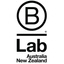 *B Lab's logo