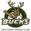 New Town Cricket Club's logo