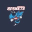 Horsham Basketball's logo