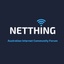 NetThing Team's logo