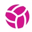 International Netball Festival's logo