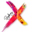 Sydney Xpressions's logo