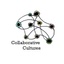 CASS Collaborative Cultures's logo