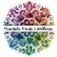 Mandala Minds & Wellness's logo