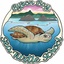 Byron Bay Sea Turtle School's logo