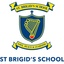 St Brigid's School's logo