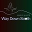 Way Down South Arts 's logo
