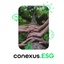 Conexus.ESG's logo