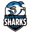 Adelaide Uni Sharks's logo