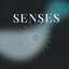 Senses of Senses Events's logo