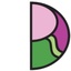 Dr Rose McGready Foundation's logo