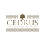 Cedrus Lebanese Restaurant 's logo