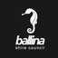 Ballina Shire Council's logo