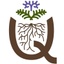 Quorum Sense's logo