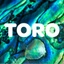 Toro Studios's logo
