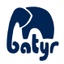 batyr's logo